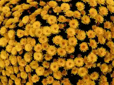 폐가전 배출 시 유의사항: 세탁기 모터 훼손 시 무상 수거 불가