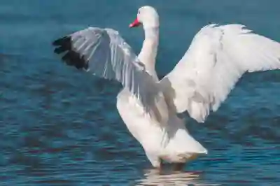 서울남부고속버스터미널 시간표 예매하기