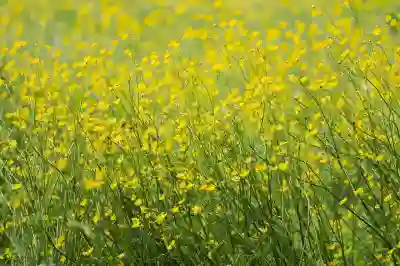 세탁기 폐가전 드럼/일반 종류별 무상 방문수거 신청 방법