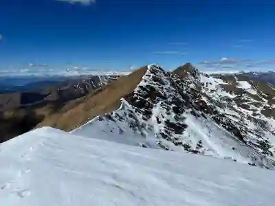 무료 장기 게임 추천 4가지 살펴보자