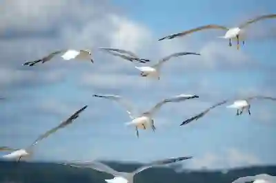 비행기 좌석 선택하는 꿀팁 알아보자