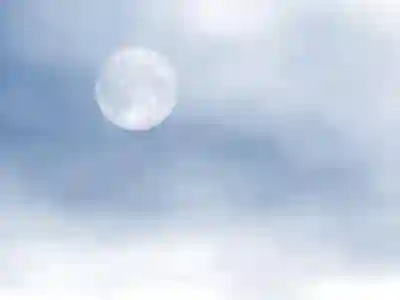 서울랜드 자유이용권 가격 할인 꿀팁 알아보자