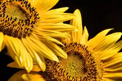 알툴즈 올인원으로 PC 필수 프로그램 쉽게 설치하는 방법 알아보자