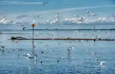 우리은행 민생회복 소비쿠폰 잔액 확인하는 꿀팁