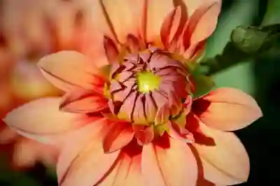 운전경력증명서 발급 방법 알아보자