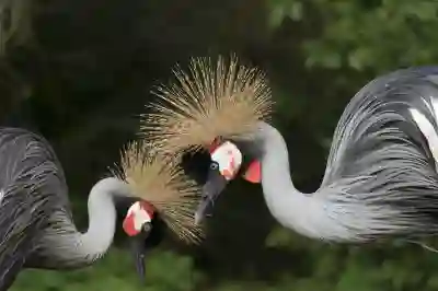 전자레인지 폐가전 무상 수거 방법 알아보자
