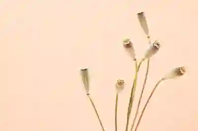 카카오 장기 PC버전 설치하는 방법 알아보자