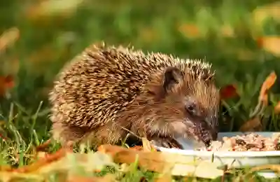 쿠팡이츠 고객센터 이용 꿀팁 알아보자
