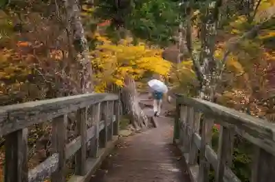 현대카드 고객센터 전화번호와 상담원 연결하는 방법 알아보자