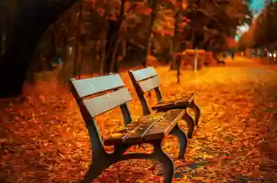 화담숲 가을 단풍 절정 시기 알아보는 방법