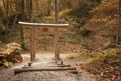 kb 바둑리그 시즌 경기 알아보는 방법