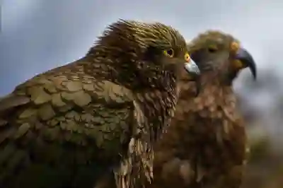 신년운세 확인하는 4가지 방법