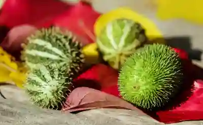 어르신 스포츠상품권 신청 방법 살펴보기
