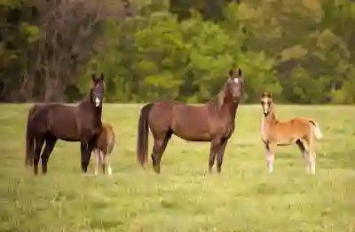 해촉증명서 발급 신청 확인하는 방법 알아보자