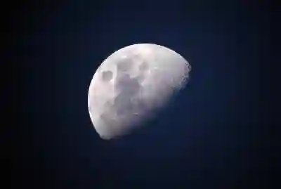 설 연휴에 꼭 봐야 할 영화 추천