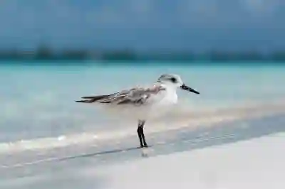 대체공휴일 활용법 알아보자