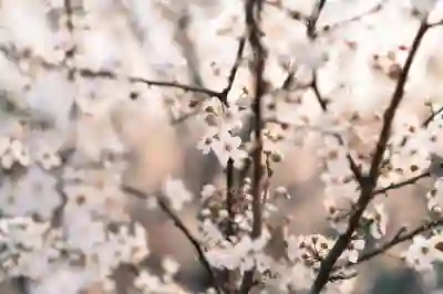 건축물대장 발급 방법 알아보자