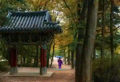 서울광장 스케이트장 예약 방법 살펴보자