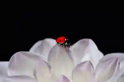 지메일 계정 삭제 방법 알아보자