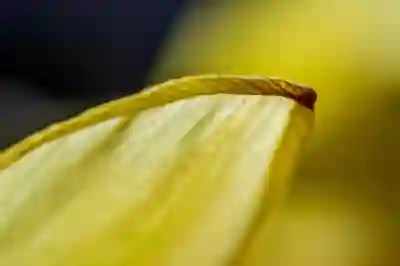 인스타 2단계 인증 해제하는 꿀팁 알아보자