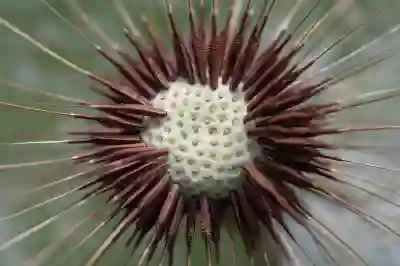 퍼플렉시티 계정 삭제와 검색기록 초기화하는 방법 알아보자