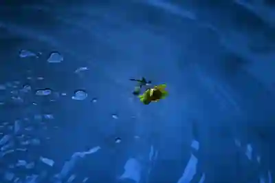 유튜브 재생속도 조절하는 2가지 방법 알아보자