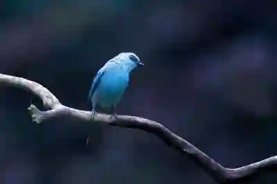노트북 소리 문제 해결을 위한 5가지 꿀팁 알아보자