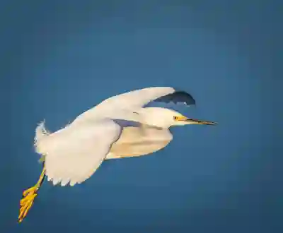 갤럭시 AI 지우개 문제 해결과 포토에디터 업데이트 방법 알아보자