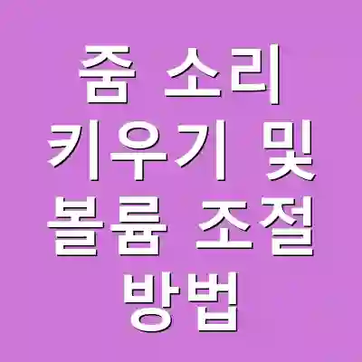 줌 소리 키우기 및 볼륨 조절 방법